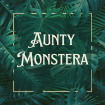 Aunty Monstera 